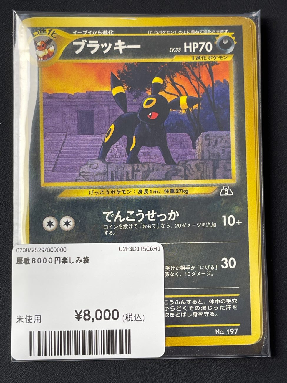 月亮伊布