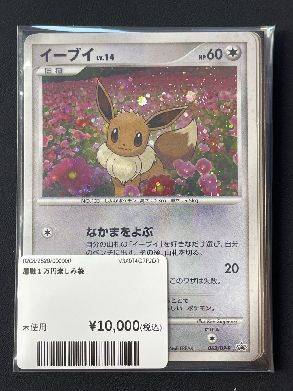 伊布