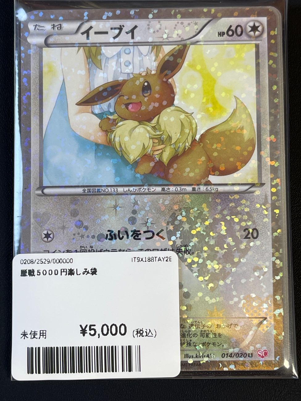 伊布（SC）